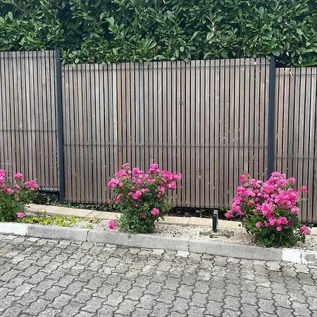 Roses Prijeten Apartma Za Dve Osebi Apartamento