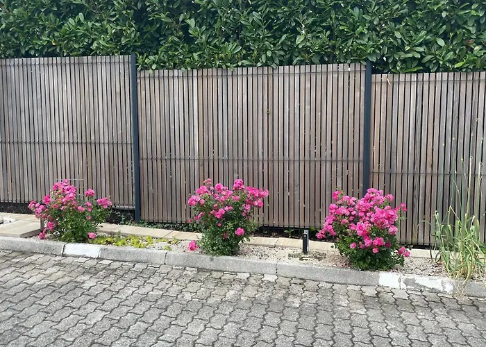 Roses Prijeten Apartma Za Dve Osebi Apartamento