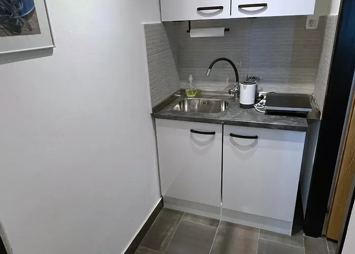 Apartamento Roses Prijeten Apartma Za Dve Osebi Mengeš
